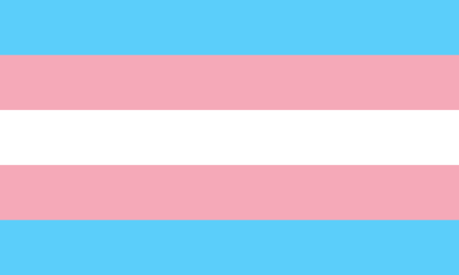 trans* Flagge
